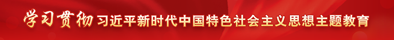 學習貫徹習近平新時代中國特色社會主義思想主題教育